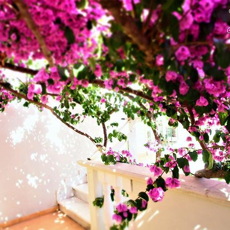 Casamare Hotel Сан-Винченцо Экстерьер фото