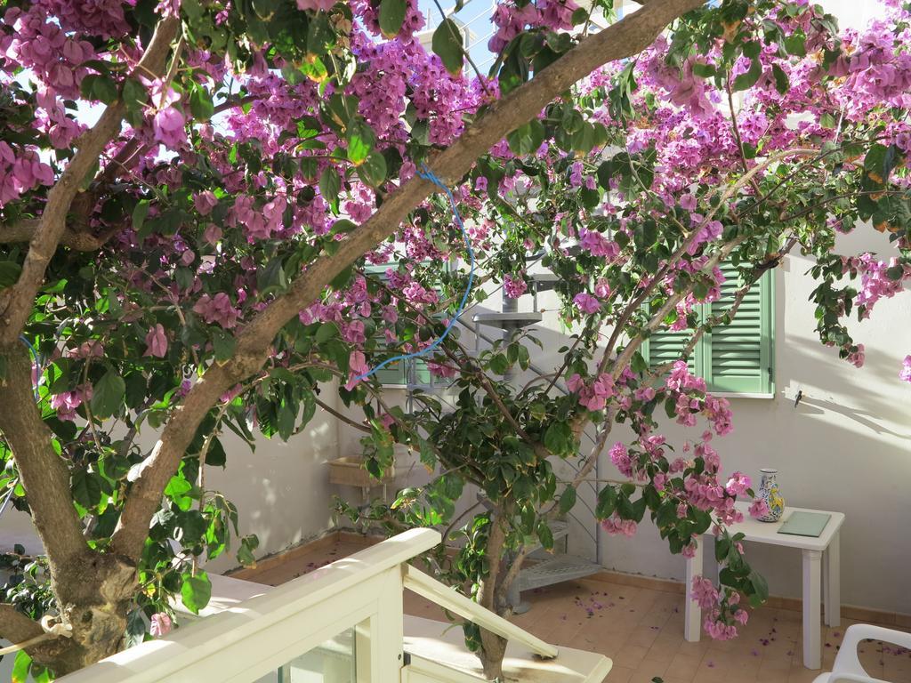 Casamare Hotel Сан-Винченцо Номер фото